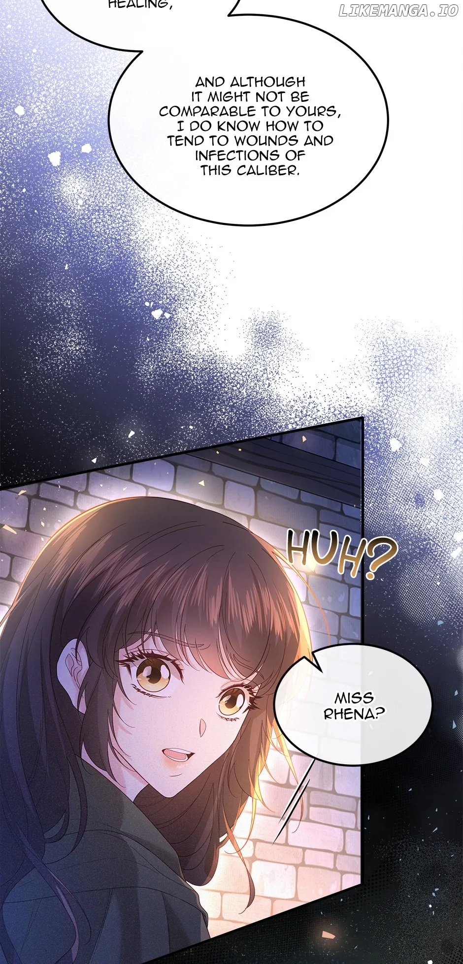 The Prince’s Personal Physician Chapter 60 page 4
