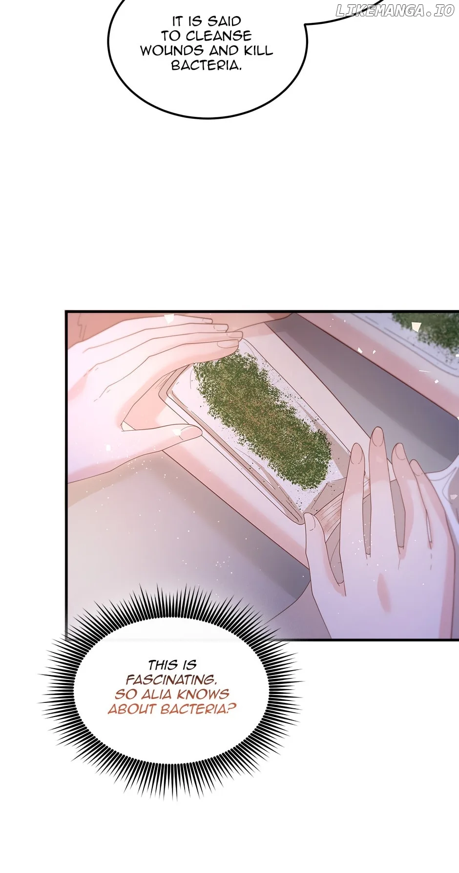 The Prince’s Personal Physician Chapter 60 page 22