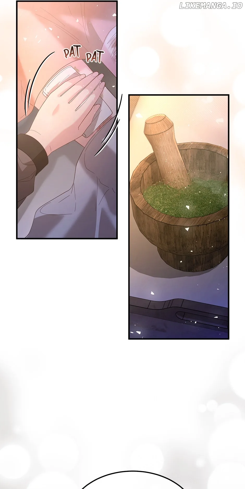The Prince’s Personal Physician Chapter 60 page 19