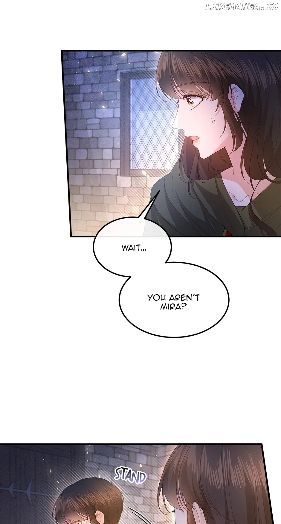 The Prince’s Personal Physician Chapter 60 page 8