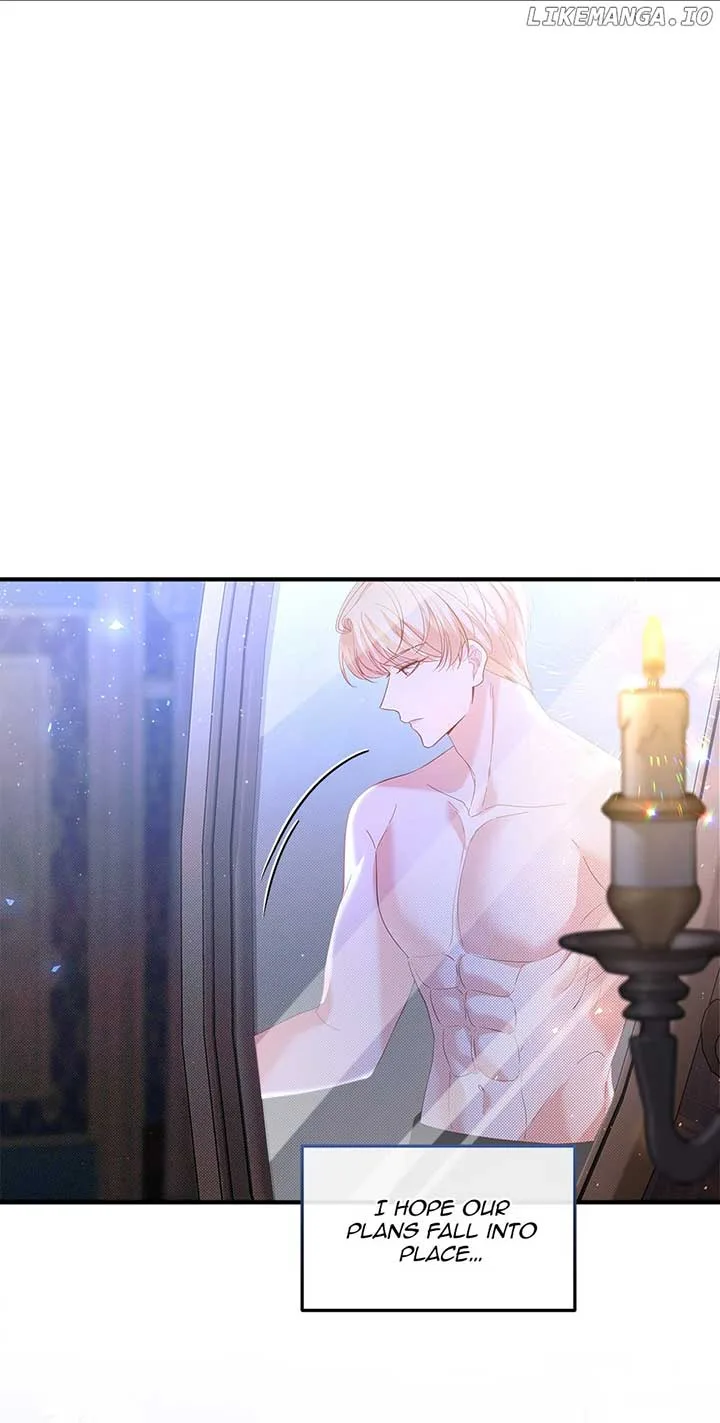 The Prince’s Personal Physician Chapter 65 page 3
