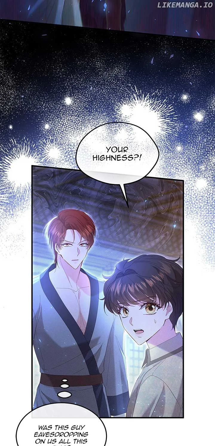 The Prince’s Personal Physician Chapter 65 page 11