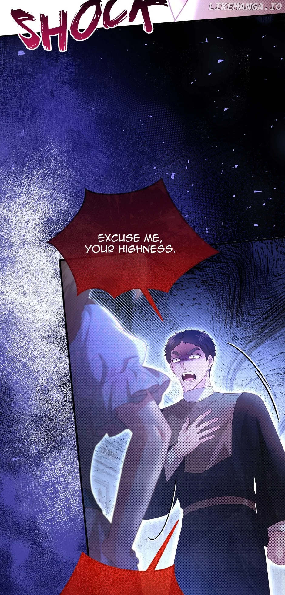 The Prince’s Personal Physician Chapter 63 page 13