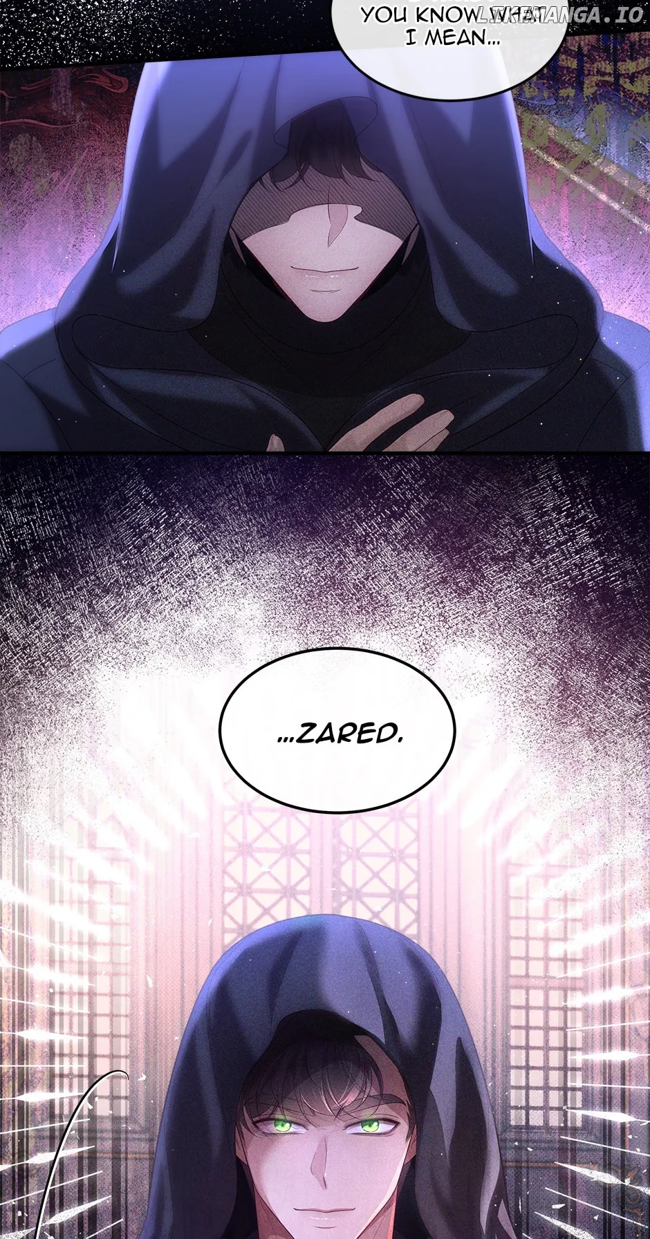 The Prince’s Personal Physician Chapter 67 page 14