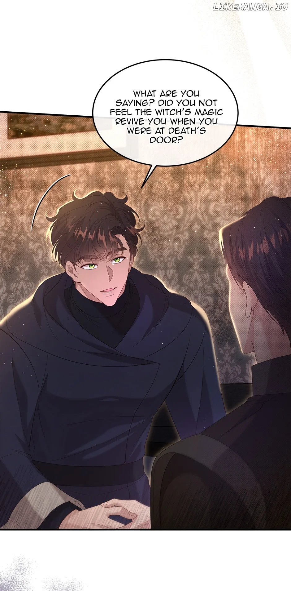The Prince’s Personal Physician Chapter 67 page 41