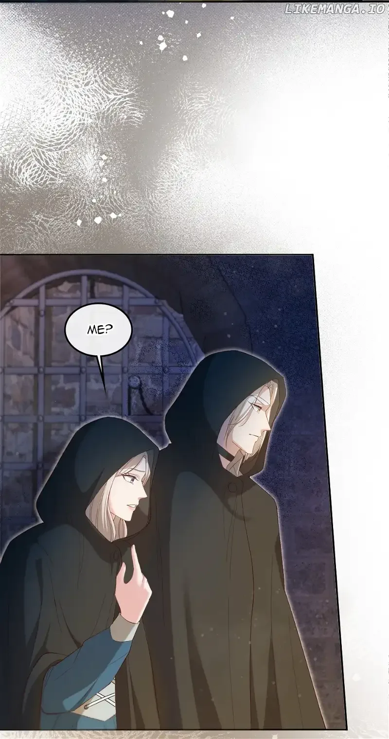 The Prince’s Personal Physician Chapter 84 page 14