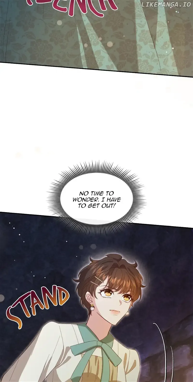 The Prince’s Personal Physician Chapter 86 page 30