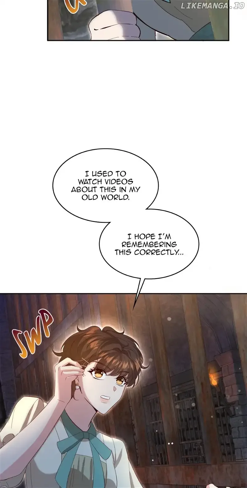 The Prince’s Personal Physician Chapter 86 page 34