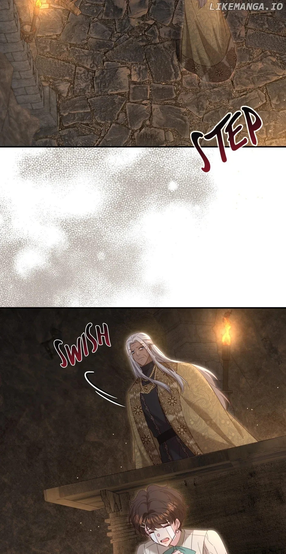 The Prince’s Personal Physician Chapter 87 page 4