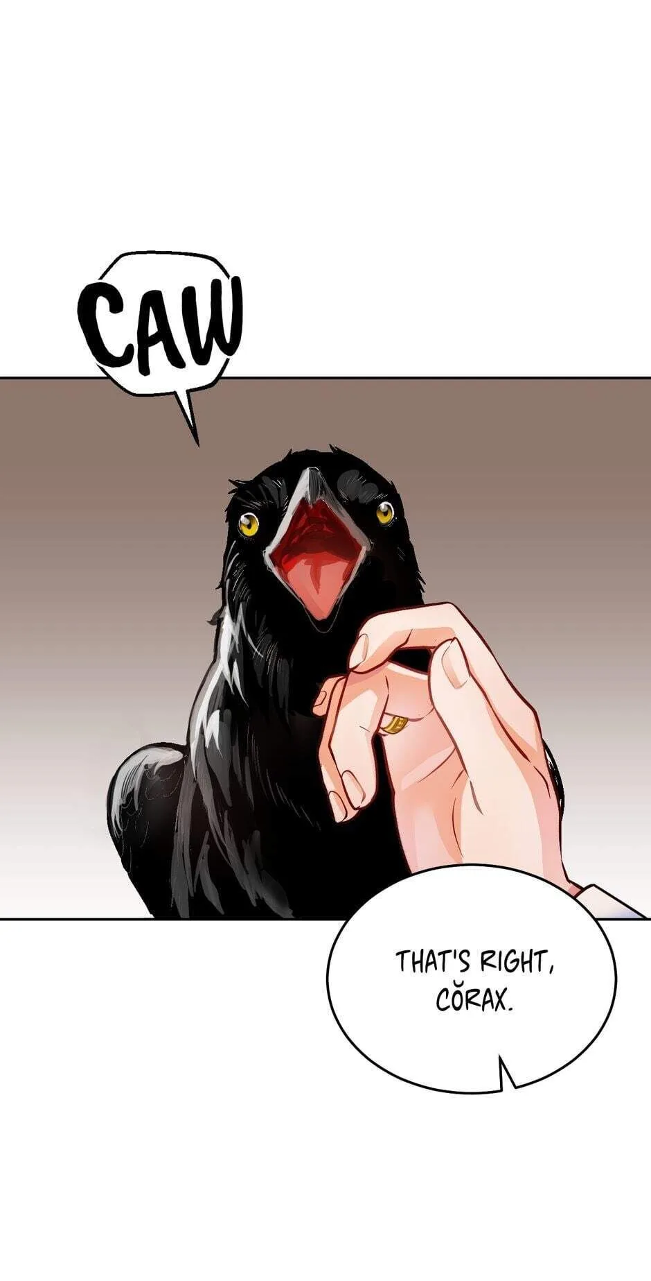 The Princess Doesn’t Want To Marry Her Ideal Type Chapter 8 page 65