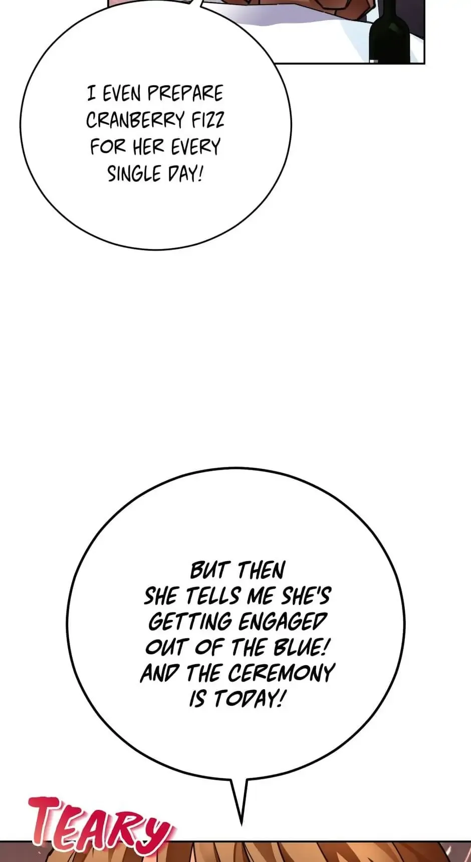 The Princess Doesn’t Want To Marry Her Ideal Type Chapter 23 page 47