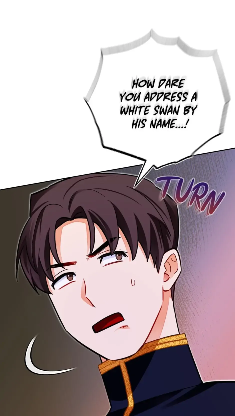 The Princess Doesn’t Want To Marry Her Ideal Type Chapter 38 page 84