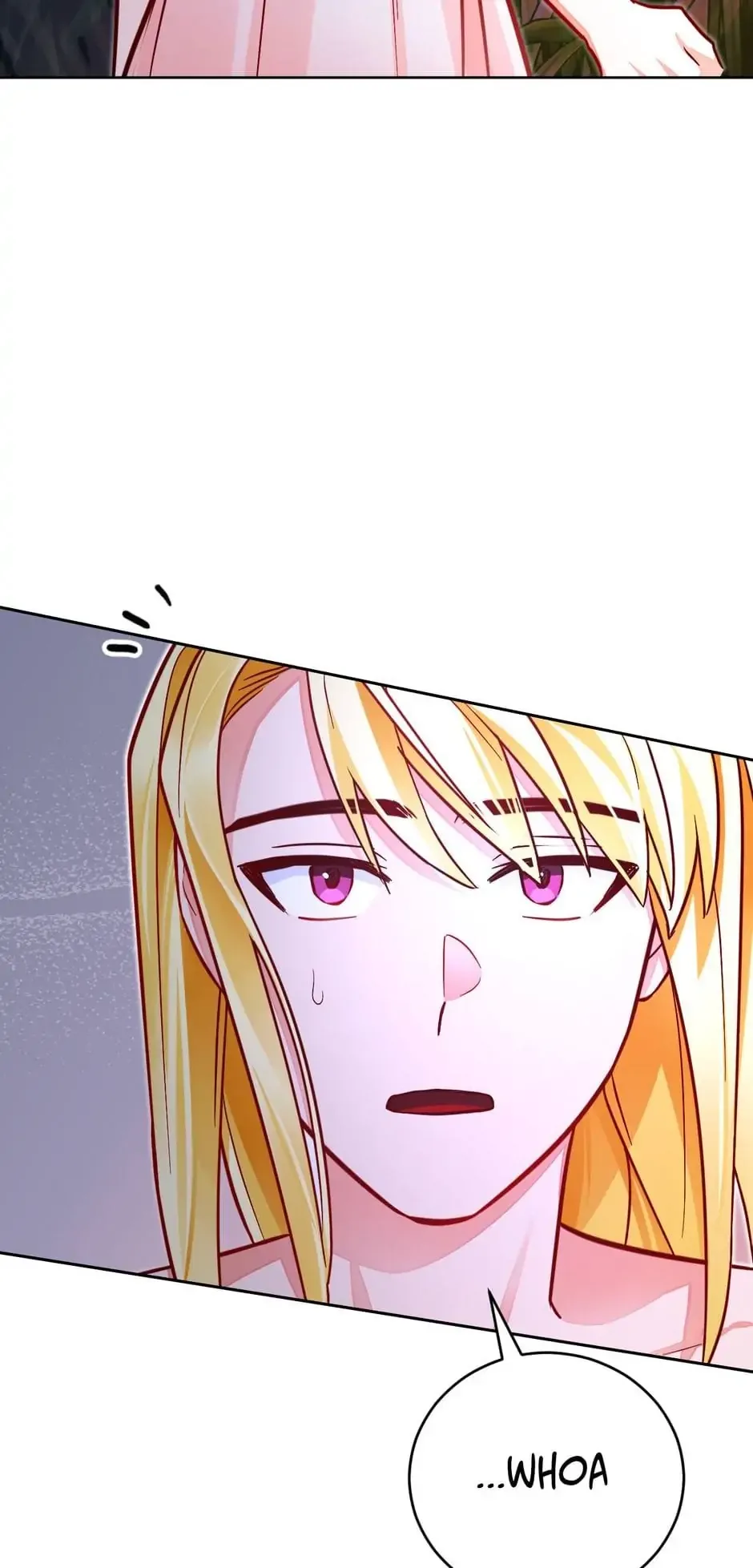 The Princess Doesn’t Want To Marry Her Ideal Type Chapter 39 page 41