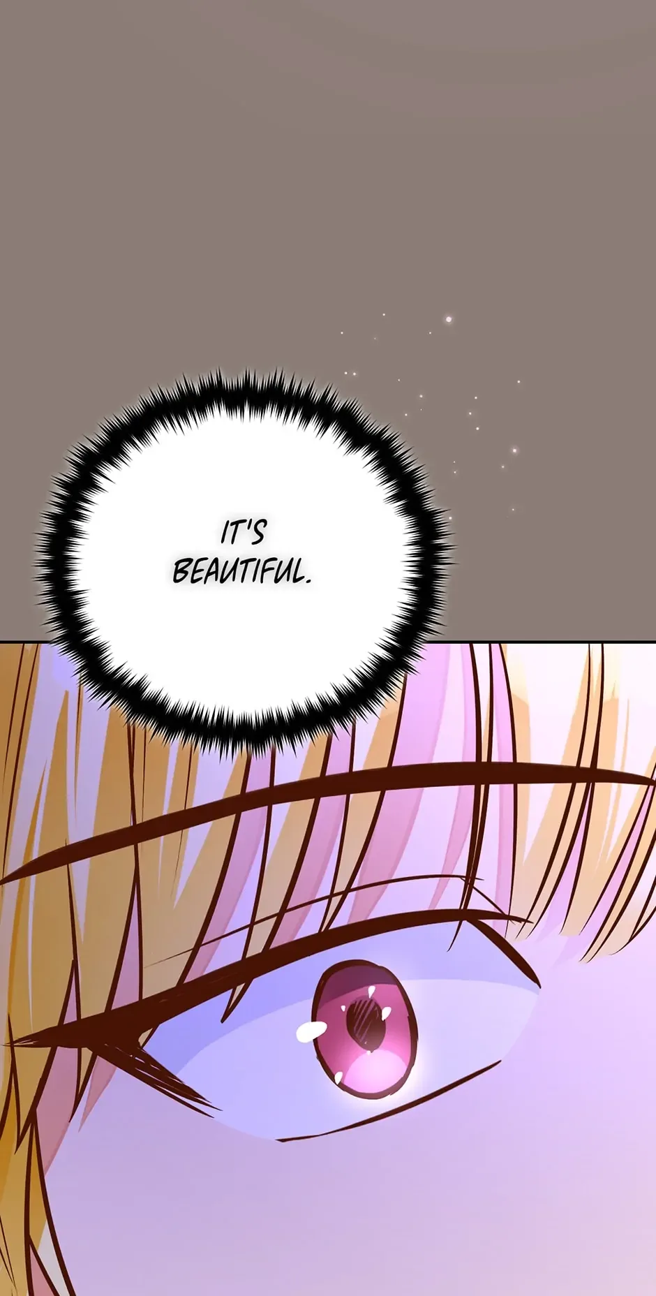The Princess Doesn’t Want To Marry Her Ideal Type Chapter 89 page 11