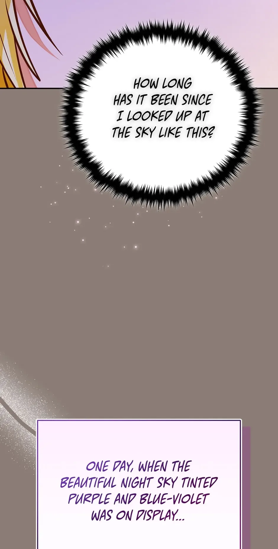 The Princess Doesn’t Want To Marry Her Ideal Type Chapter 89 page 12