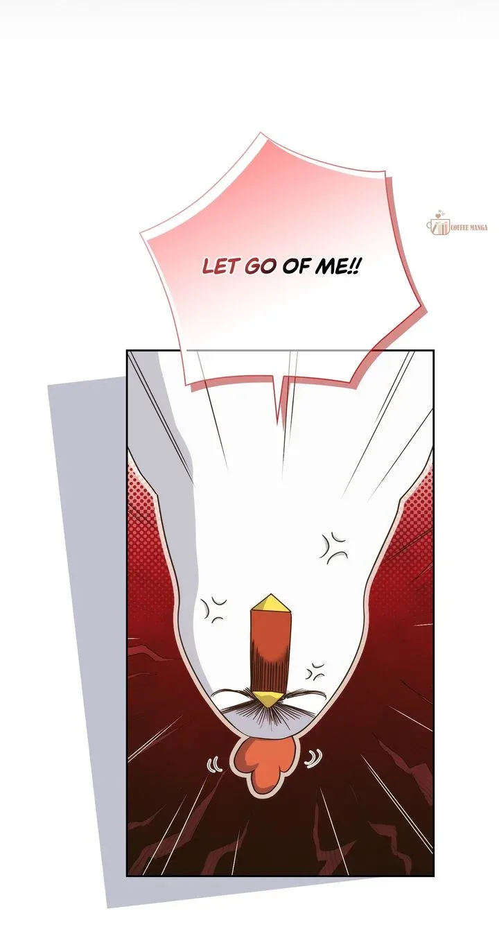 The Princess in The Henhouse Chapter 4 page 41