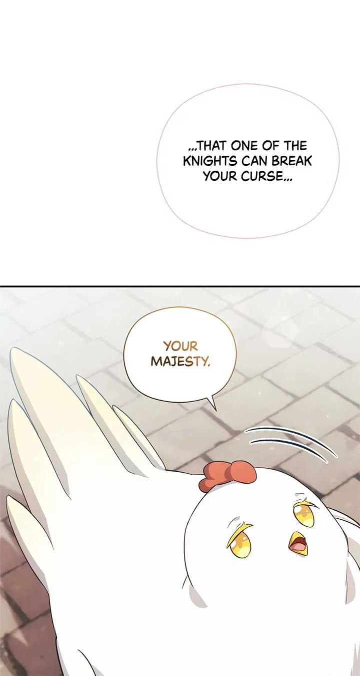 The Princess in The Henhouse Chapter 9 page 41