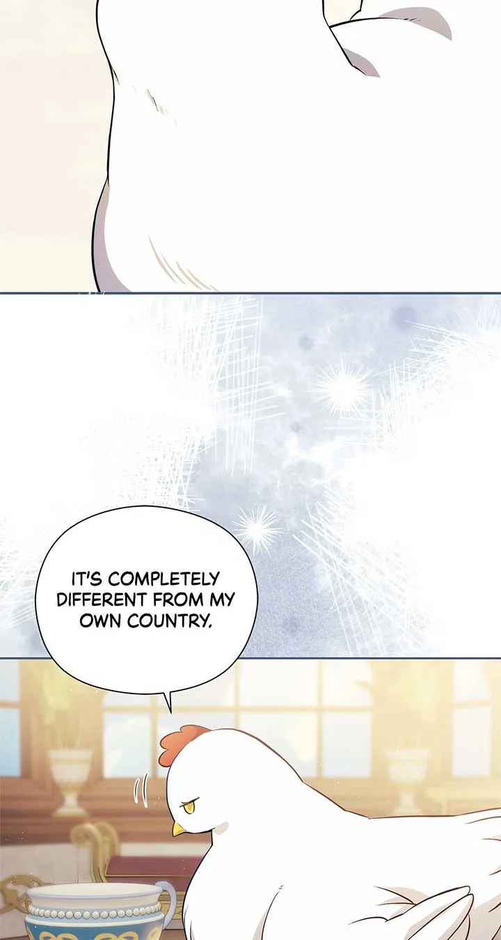 The Princess in The Henhouse Chapter 10 page 41
