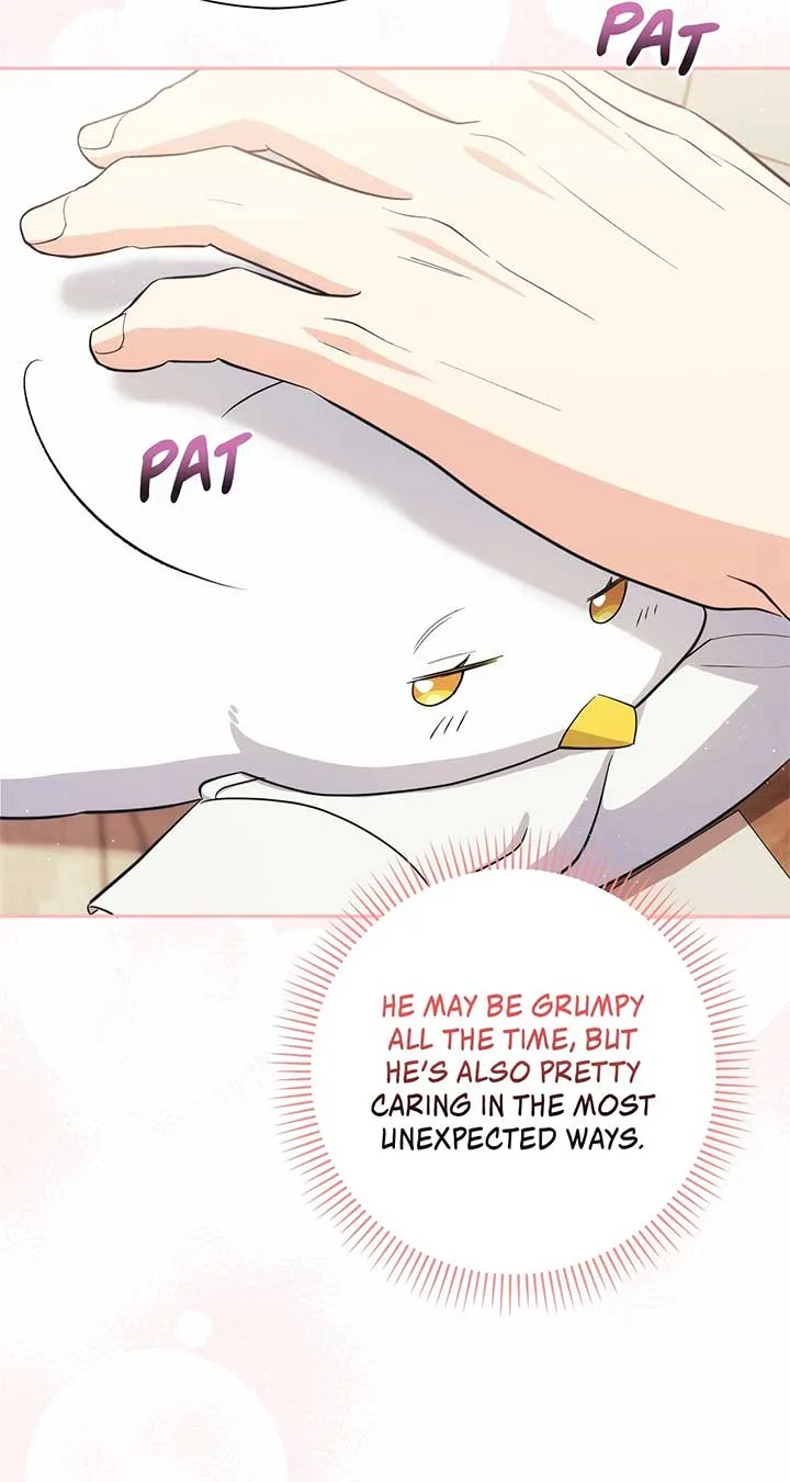 The Princess in The Henhouse Chapter 13 page 91