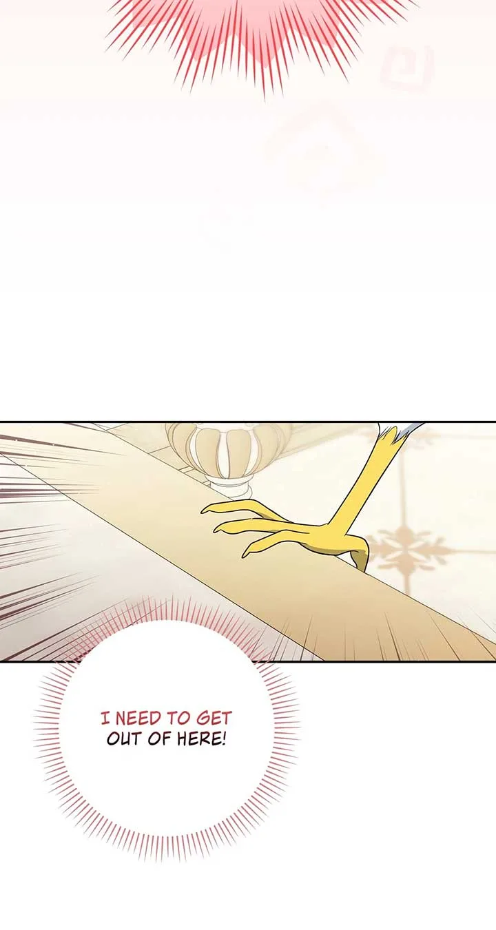 The Princess in The Henhouse Chapter 31 page 62