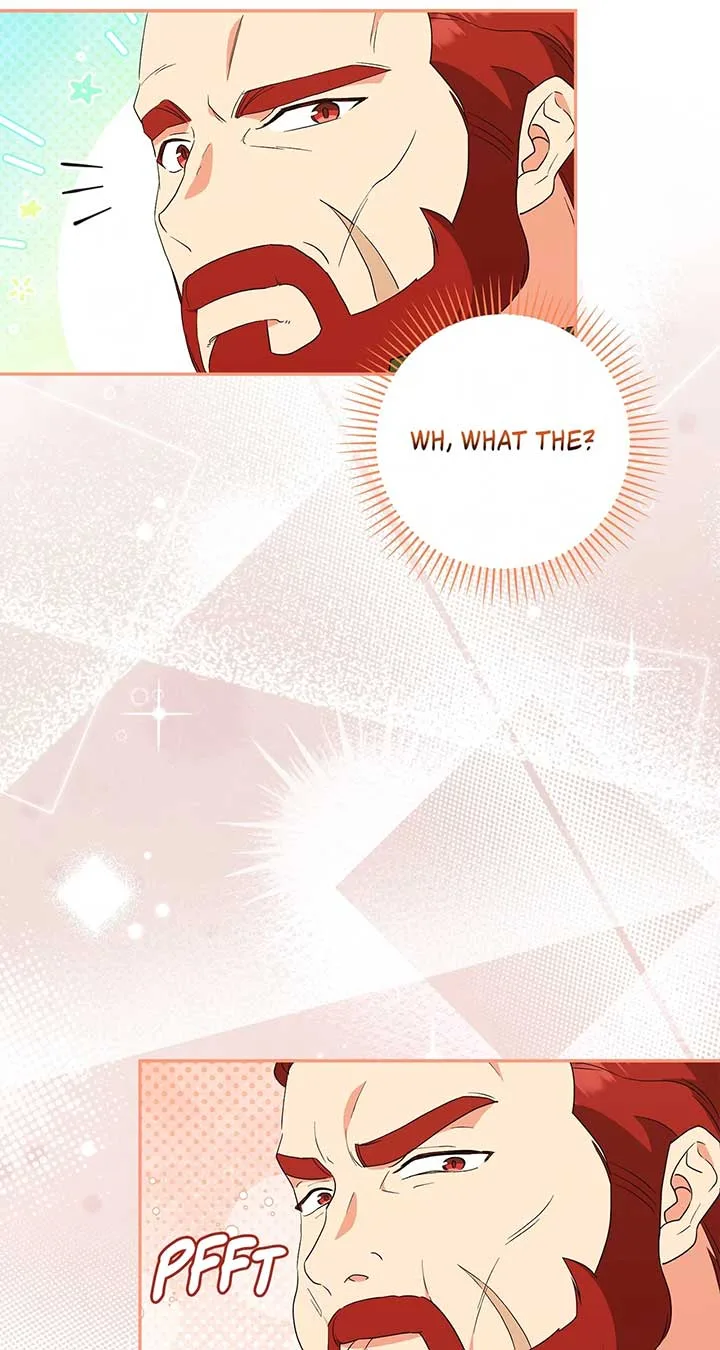 The Princess in The Henhouse Chapter 31 page 74