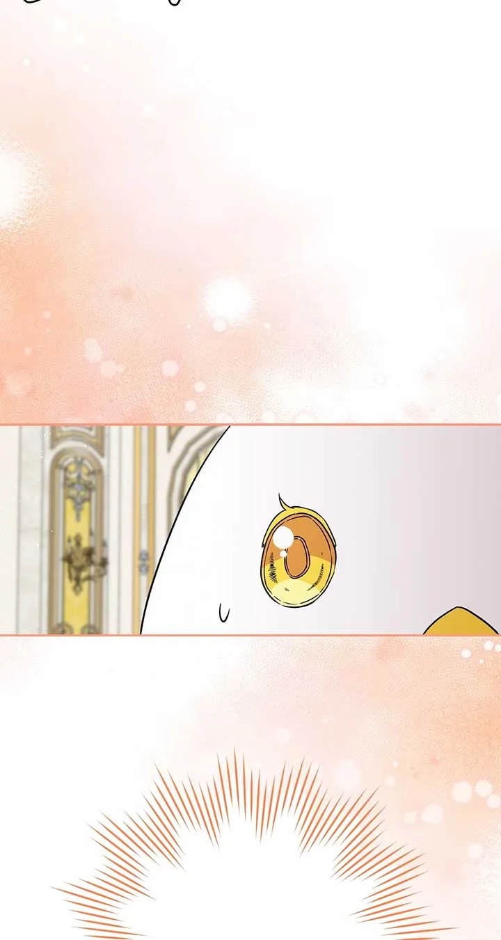 The Princess in The Henhouse Chapter 31 page 71
