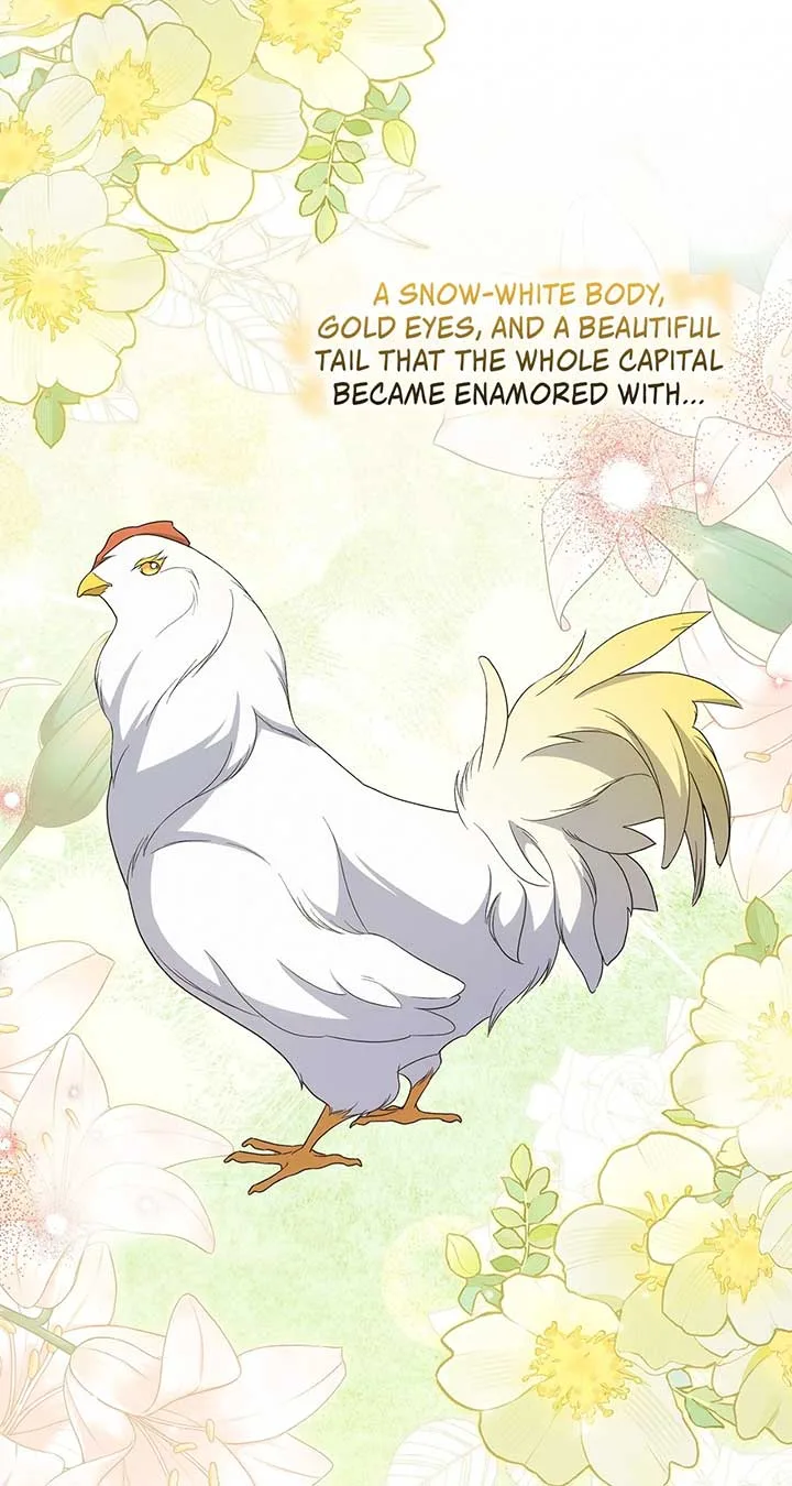 The Princess in The Henhouse Chapter 35 page 72