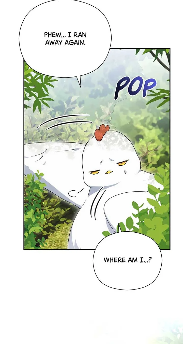 The Princess in The Henhouse Chapter 41 page 11