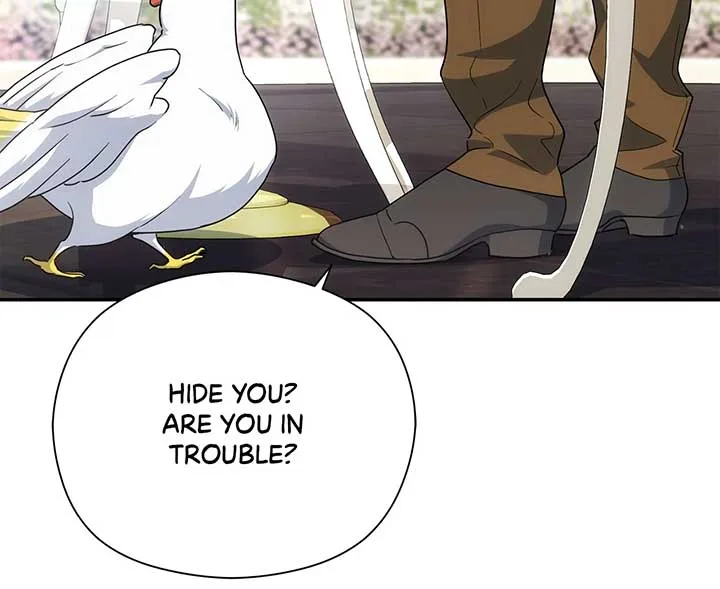 The Princess in The Henhouse Chapter 41 page 18