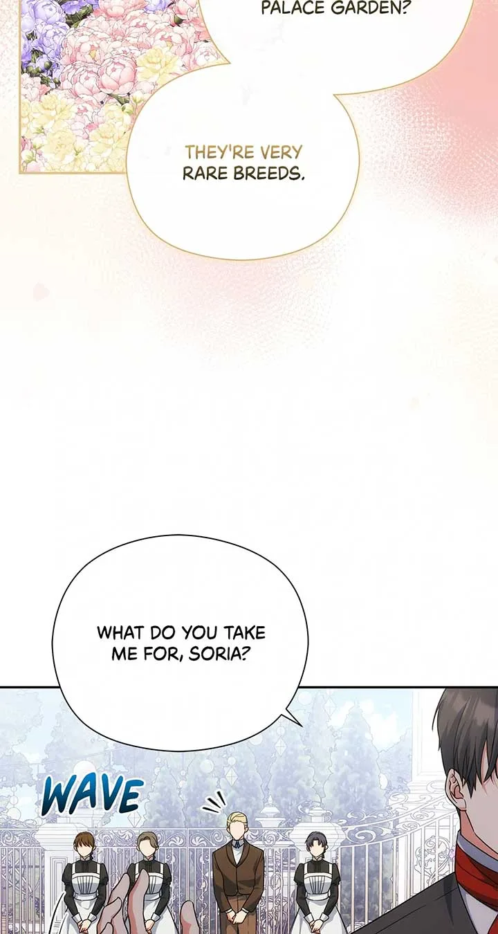The Princess in The Henhouse Chapter 44 page 48