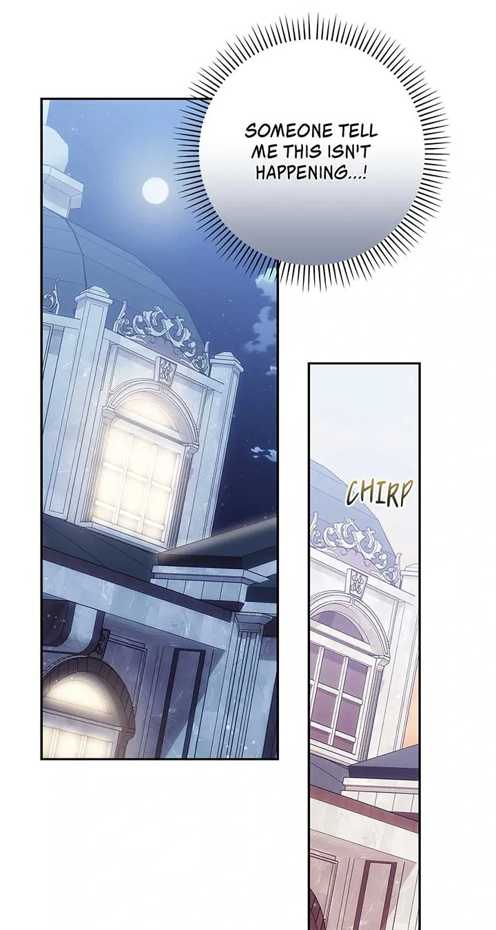 The Princess in The Henhouse Chapter 48 page 47