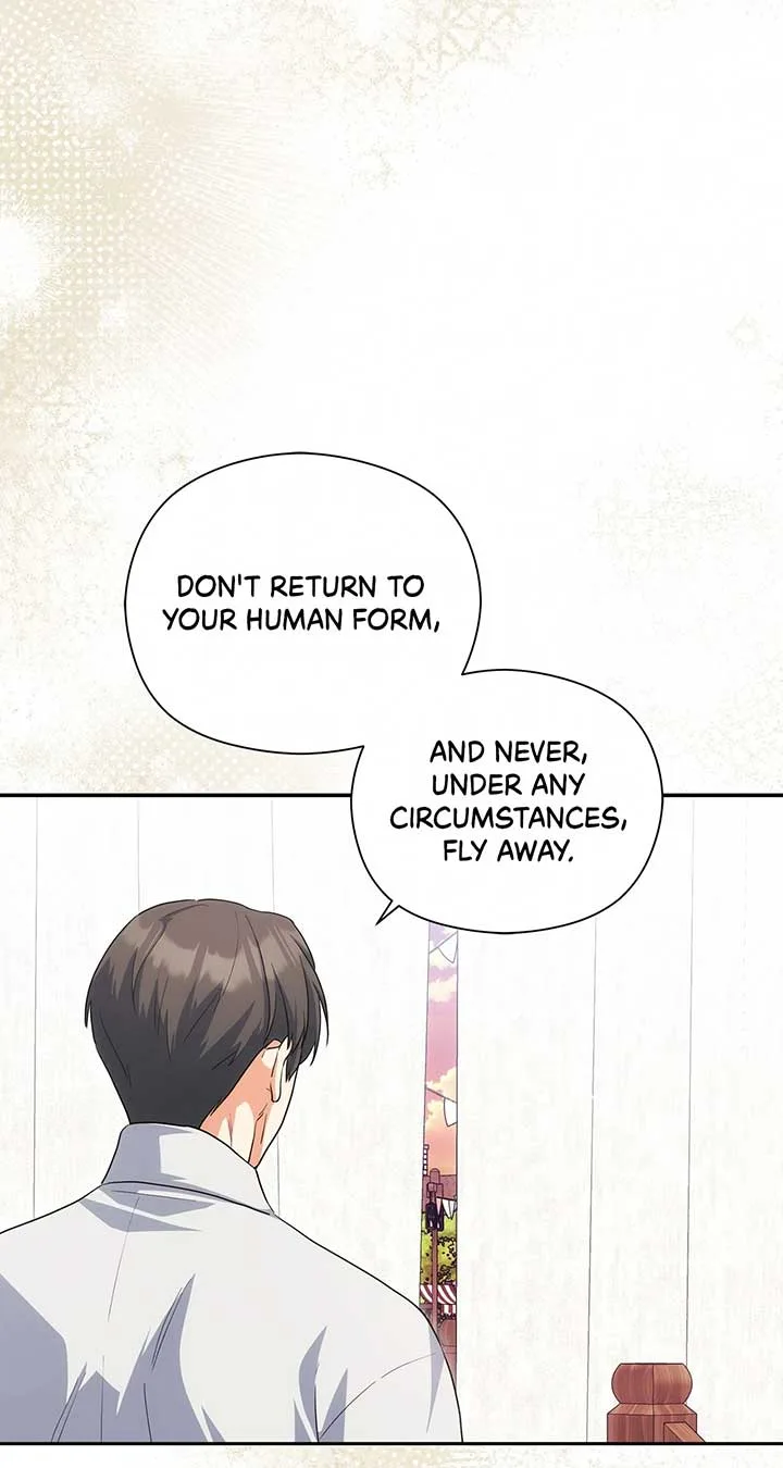 The Princess in The Henhouse Chapter 46 page 71