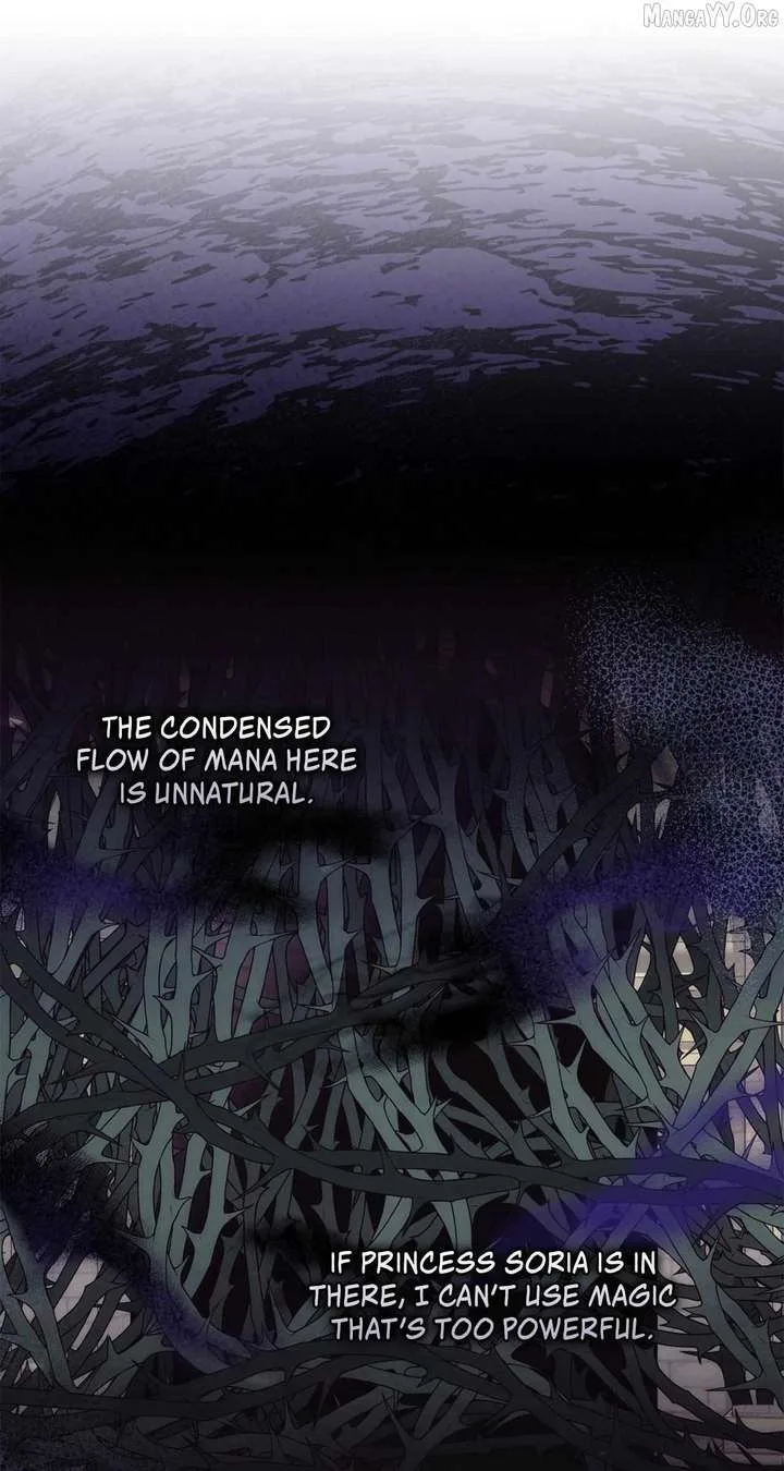 The Princess in The Henhouse Chapter 63 page 60