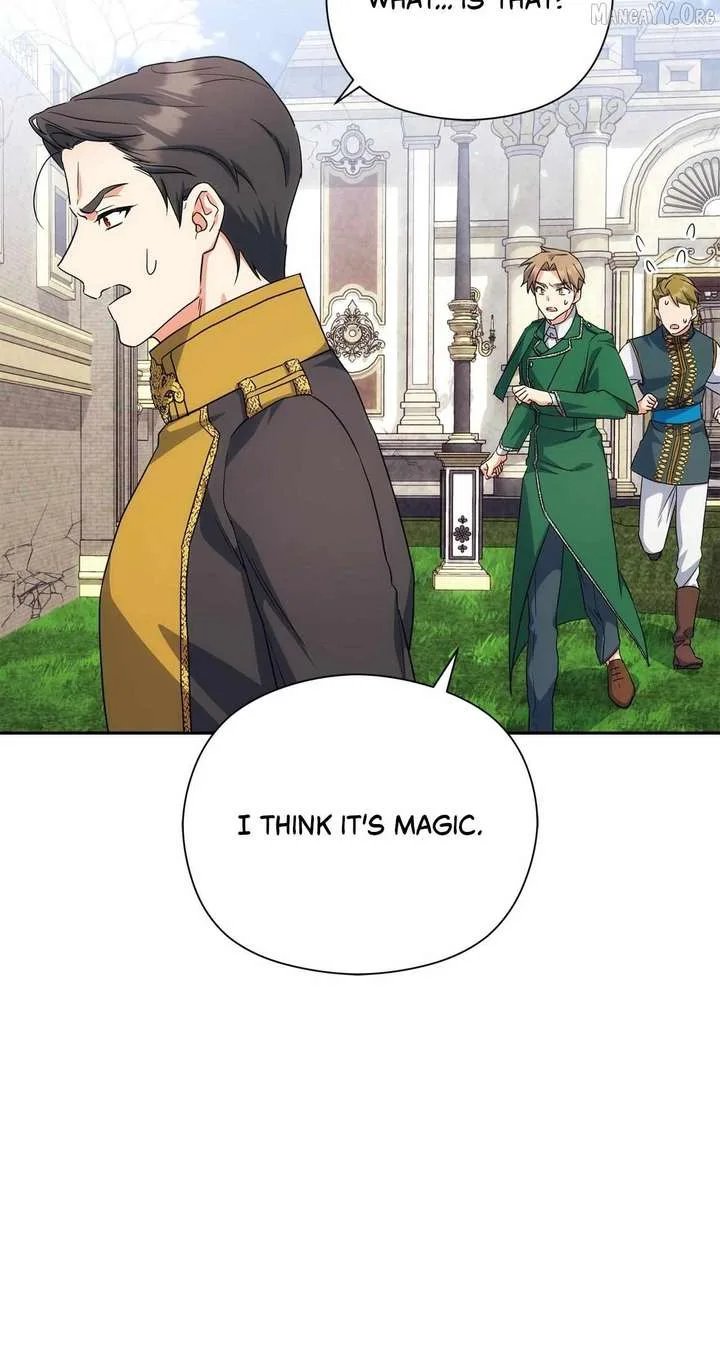 The Princess in The Henhouse Chapter 63 page 56