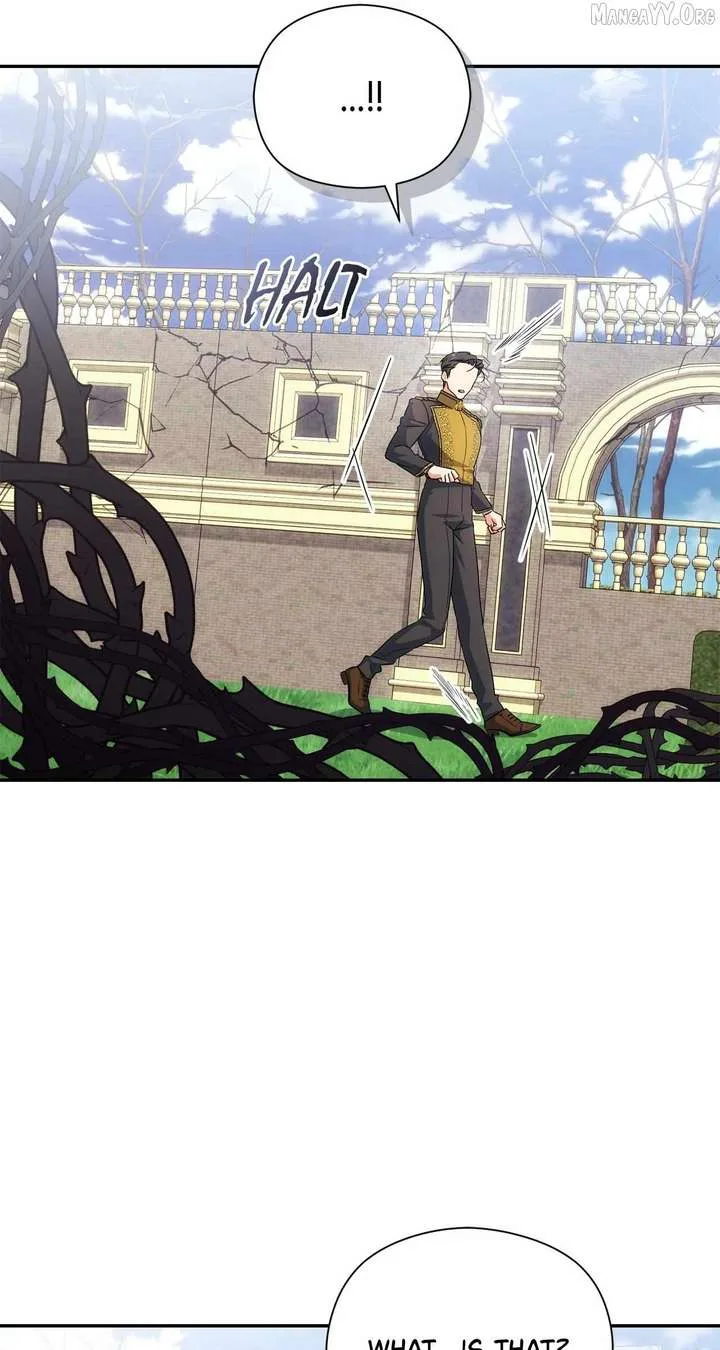 The Princess in The Henhouse Chapter 63 page 55
