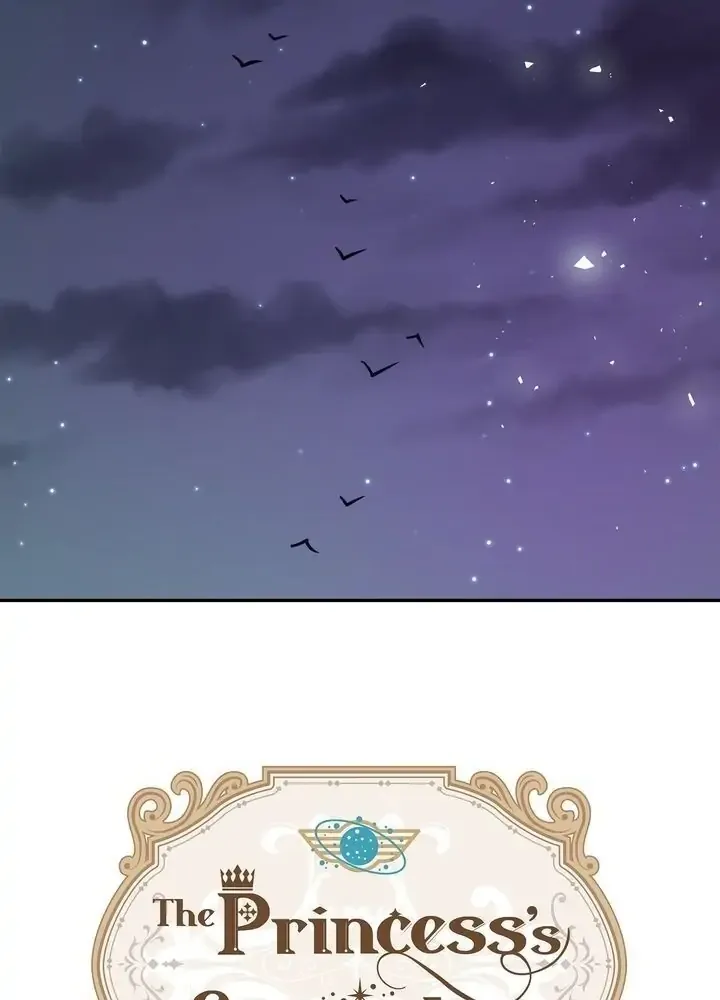 The Princess’ Spaceship Chapter 14 page 42