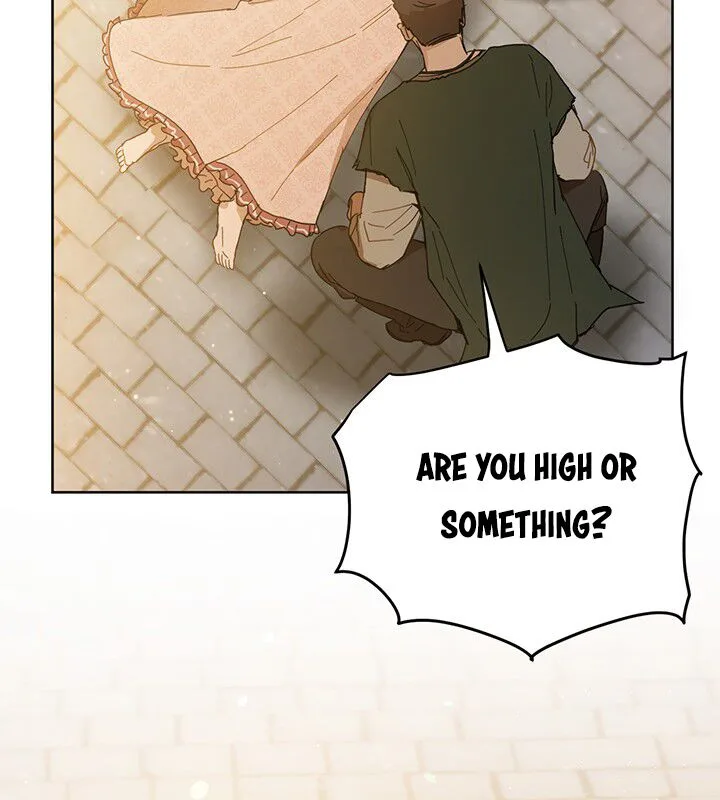 The Princess’s Double Life Chapter 7 page 68