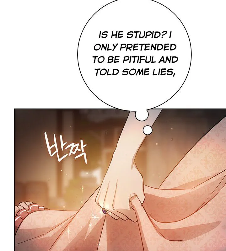 The Princess’s Double Life Chapter 7 page 29