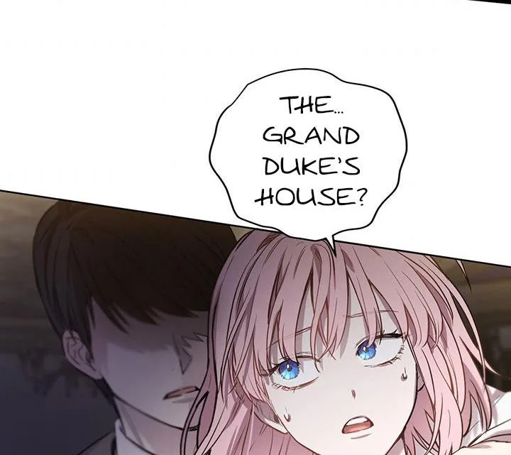 The Princess’s Double Life Chapter 13 page 12
