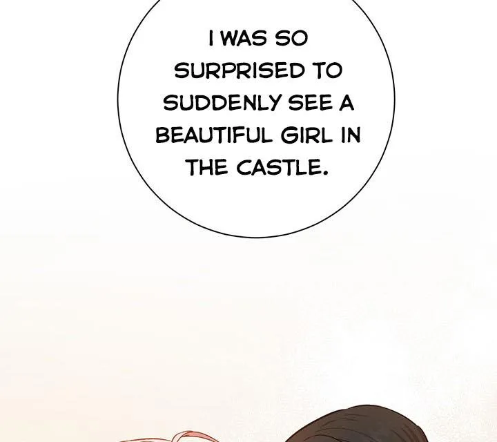 The Princess’s Double Life Chapter 13 page 36