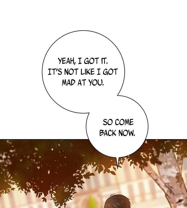 The Princess’s Double Life Chapter 16 page 17