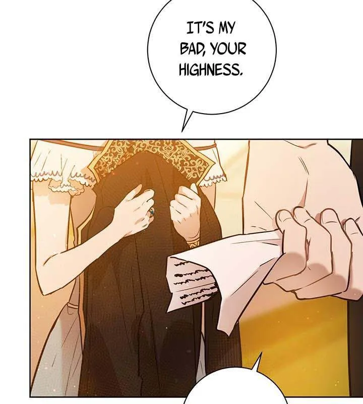 The Princess’s Double Life Chapter 16 page 37