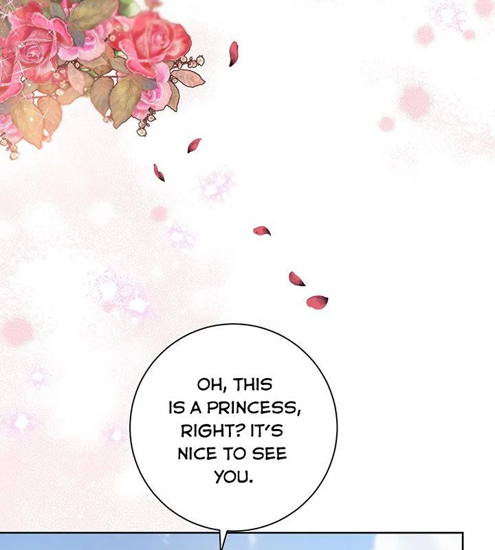 The Princess’s Double Life Chapter 19 page 17
