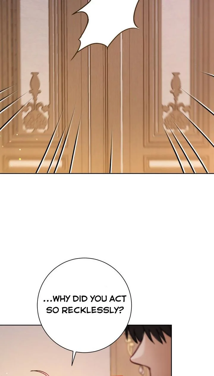 The Princess’s Double Life Chapter 24 page 29