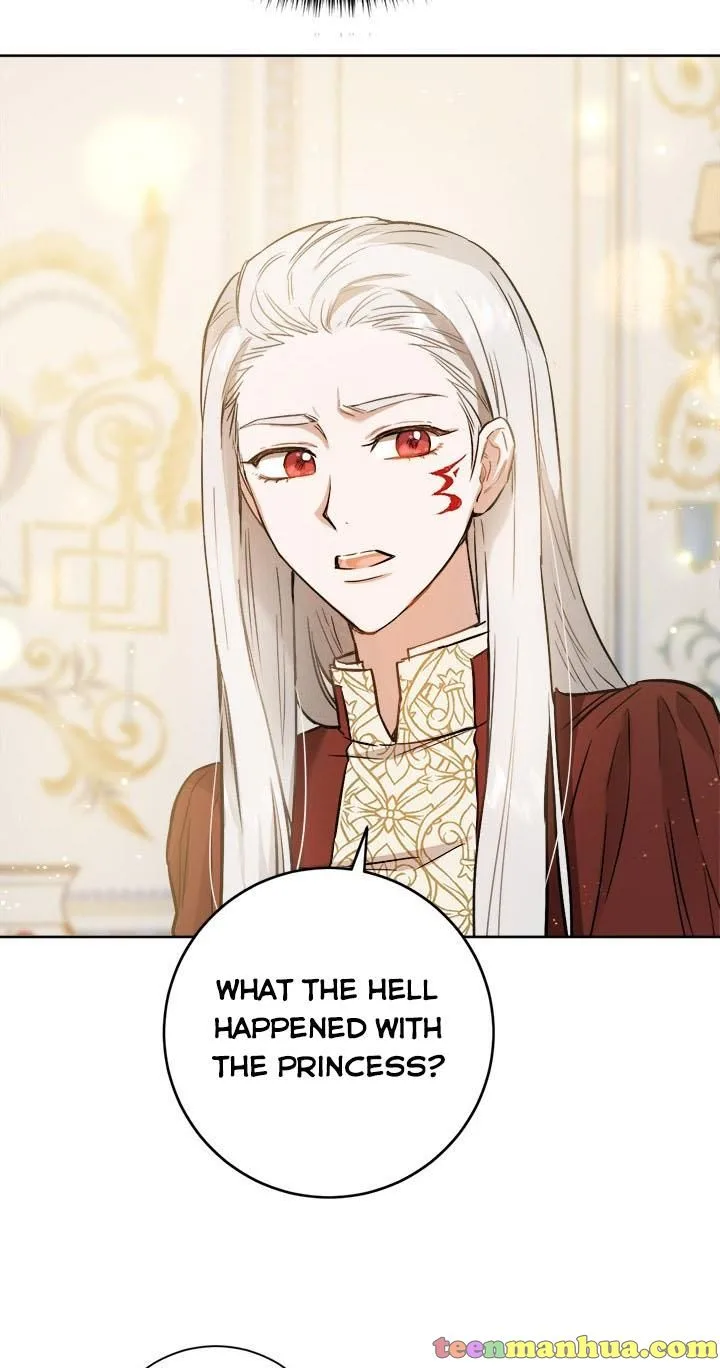 The Princess’s Double Life Chapter 24 page 70