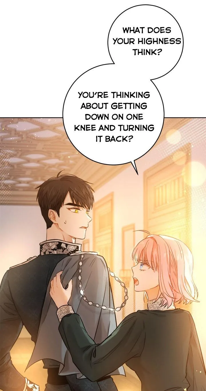 The Princess’s Double Life Chapter 24 page 52