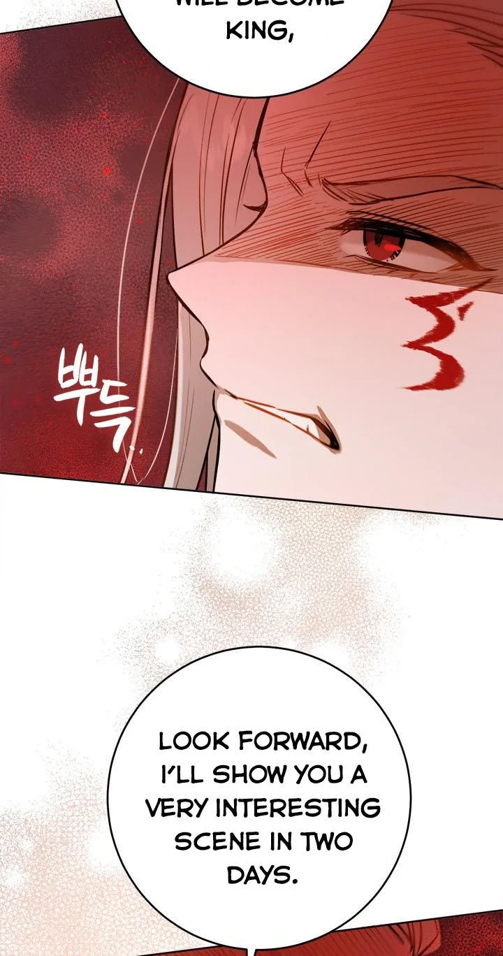 The Princess’s Double Life Chapter 24 page 74