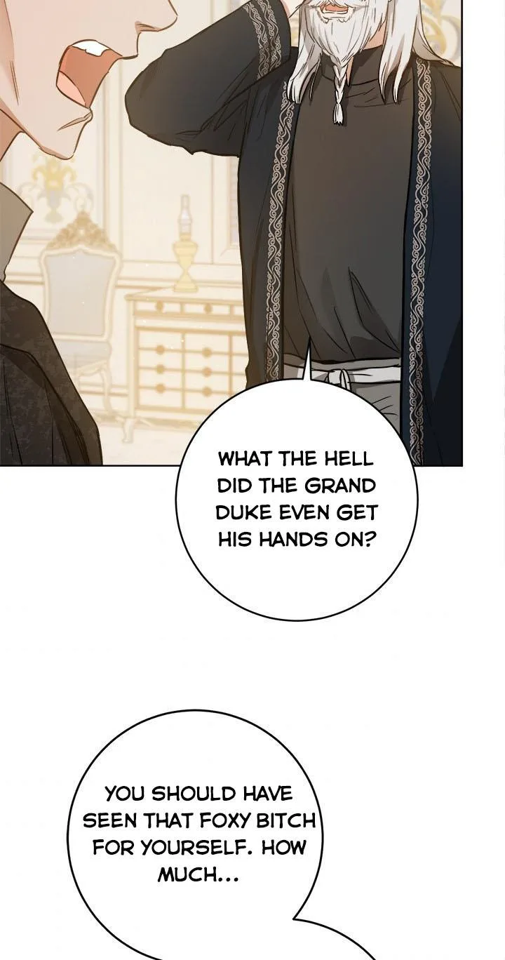 The Princess’s Double Life Chapter 24 page 61