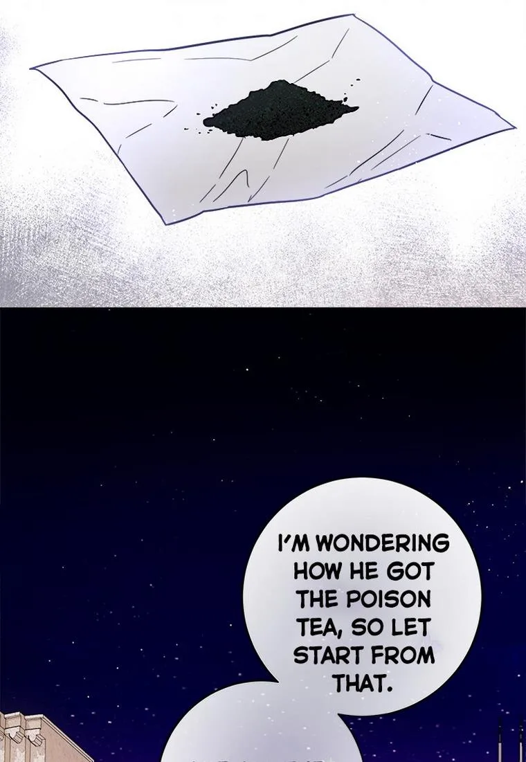 The Princess’s Double Life Chapter 33 page 36