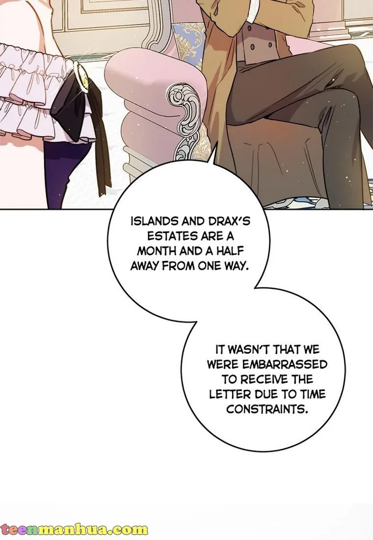 The Princess’s Double Life Chapter 33 page 47